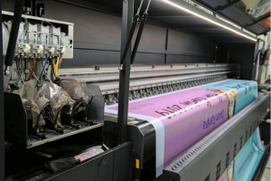 print A3+